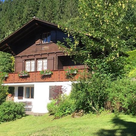 Ferienwohnung Betula Bad-Schwarzsee Eksteriør bilde